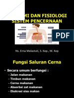 1 Anatomi Dan Fsiologi Sistem Pencernaan