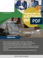 Auditor Interno EMA