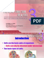 3the Basic Structures of a