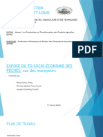 Rapport D'enquête