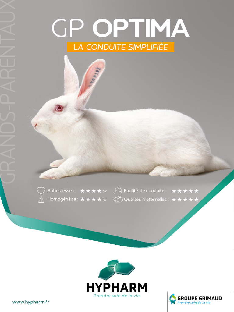 Femelle GP Optima : Performance et Simplicité | PDF