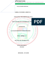 IP01 - Llanagari Cinthia - Informe de Diseño de Muestreo