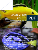 Anatomi N Fisiologi Ikan