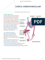 Anatomía Clínica Cardiovascular