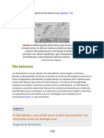 Ten Cate Oral Histology Development Structure and Function 9th Edition (Konkur - In) 130 136.en - Es