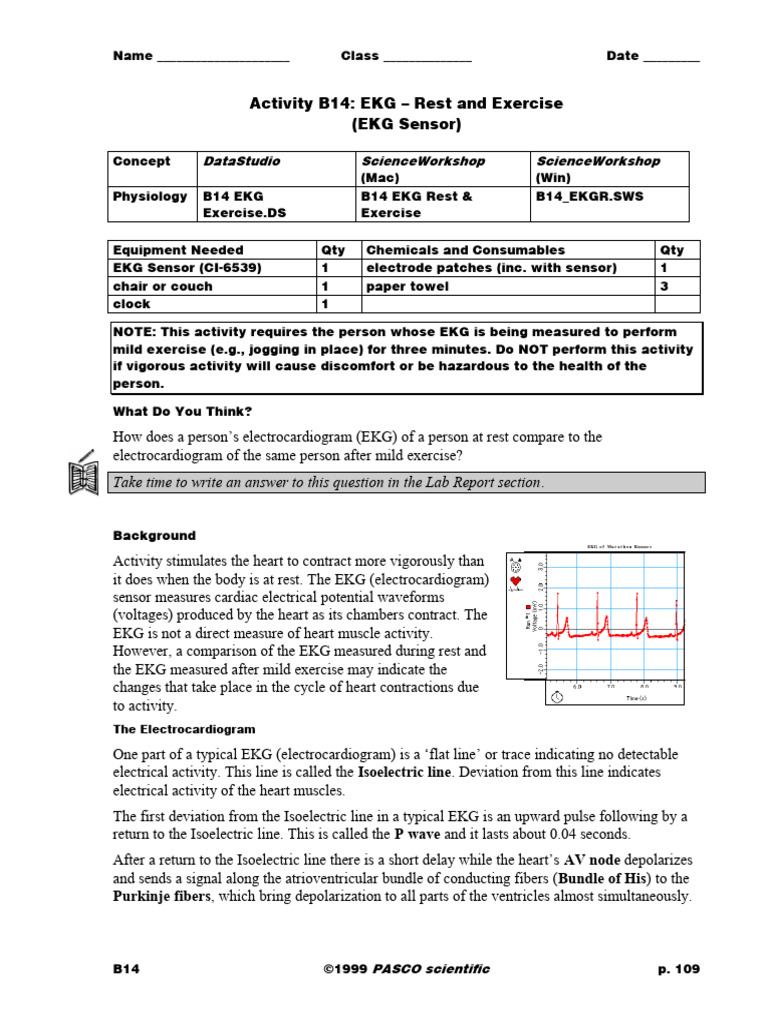 EKG Analysis: Rest vs. Exercise | PDF | Electrocardiography ...