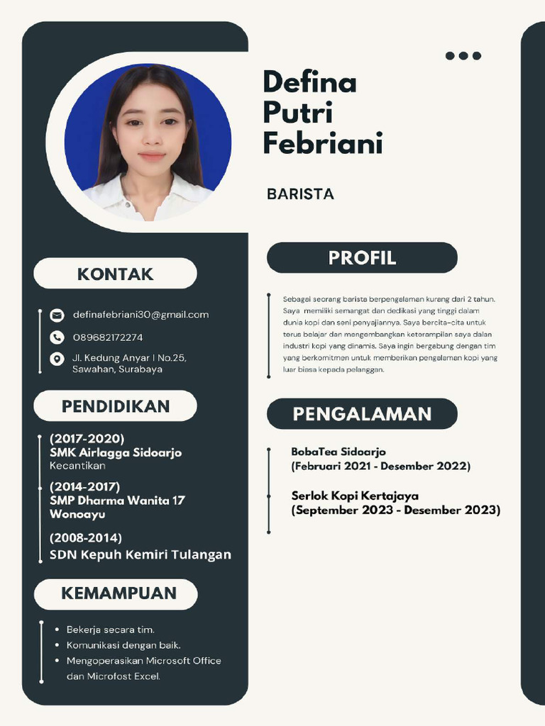CV Defina | PDF