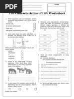 WS - Biology Grade 8 | PDF | Respiratory System | Breathing