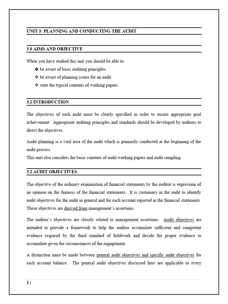 Audit Planning and Objectives Overview | PDF