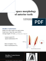 Pulp Space Morphology Anterior Teeth 2022