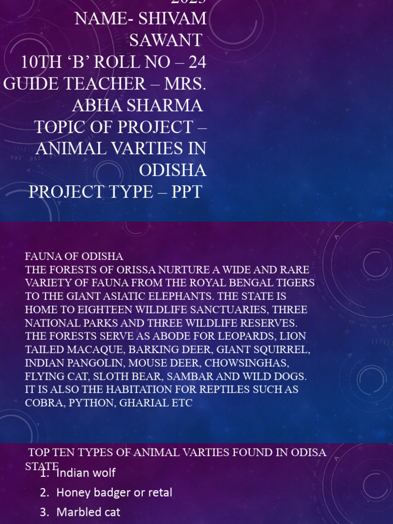 Science Art Intragted Project | PDF | Mammals | Mammals Of Asia