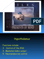Hypothalamus 1