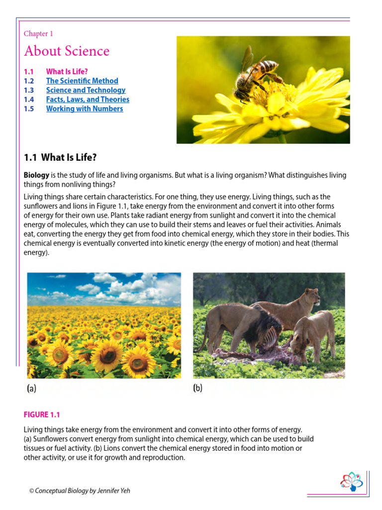 Conceptual Academy Biology Textbook Sample 1 | PDF | Reproduction ...