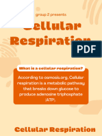 Cellular Respiration Is A Metabolic Pathway That Uses Glucose To Produce Adenosine Triphosphate ATP. - 20231108 - 202310 - 0000