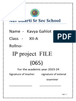 Ip Project File