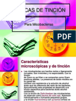 Técnicas de Tinción