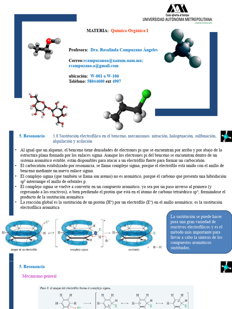 Reacciones de Sustitución del Benceno | PDF | Ciencia y matemáticas