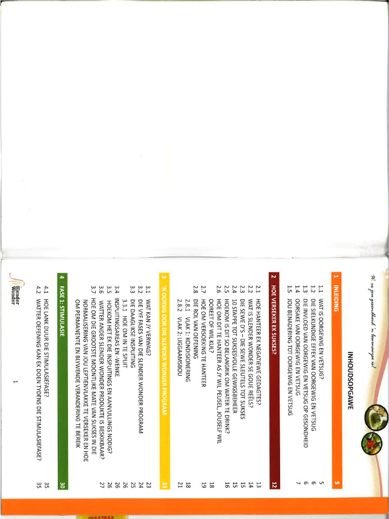 Slenderwonder 1 | PDF