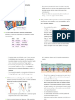 Clase 1 Transporte (Solemne 1)