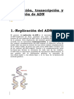 Replicación, Transcripción y Traducción