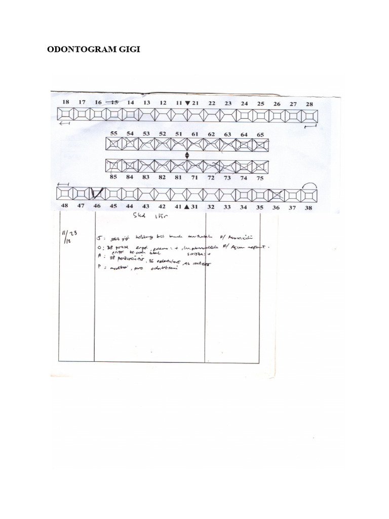 Odontogram Gigi | PDF