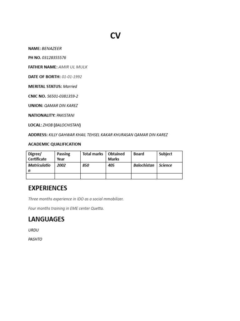 CV of Benazeer - Pakistani Professional | PDF
