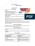 Apuntes 2º Exame Bioloxía 1 Avaliación