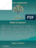 Lec 9 Culture