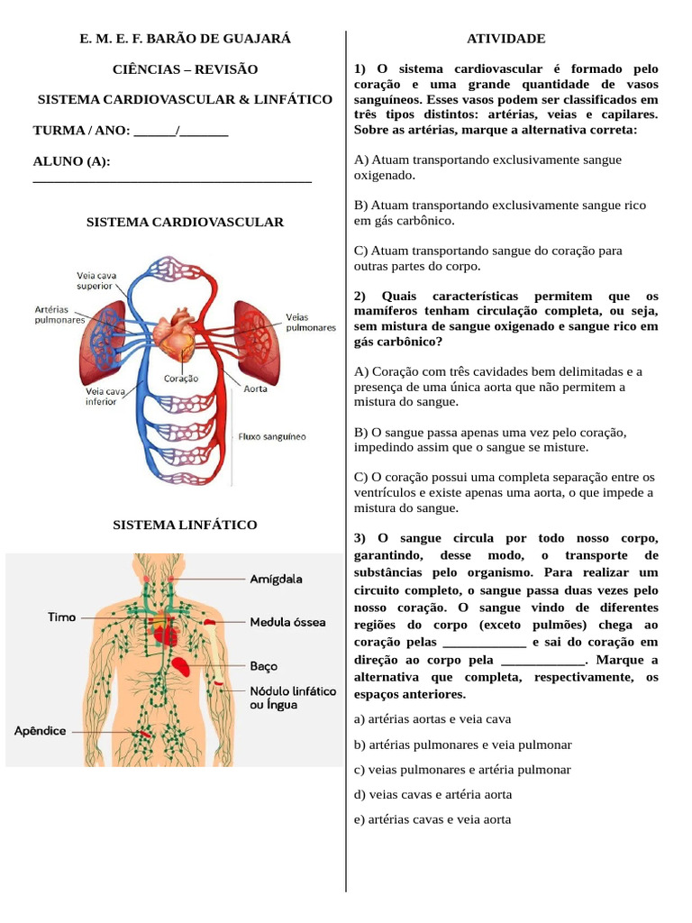 Atividades sobre Sistemas Cardiovascular e Linfático | PDF | Sistema ...