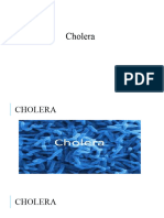 Cholera Research Statistics