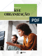 Gestao e Organizacao