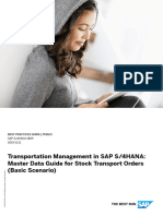 06 - TM - in - SAPS4HANA - MasterDataGuide - StockTransport - Basic