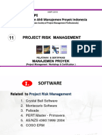 11 - Project Risk MGT