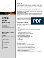 Curriculum Vitae Maestria