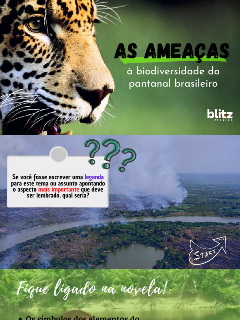 Ameaças à Biodiversidade do Pantanal | PDF | Biodiversidade | Ambiente ...