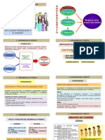 Desarrollo en La Adolescencia