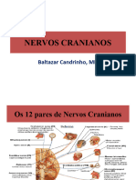 Nervos Cranianos