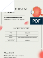 RK - Corpus Alienum Cornea - Rs Bhayangkara