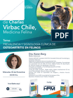 Charla Dra Karen Berg 20 Diciembre