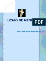 Lesão de Menisco