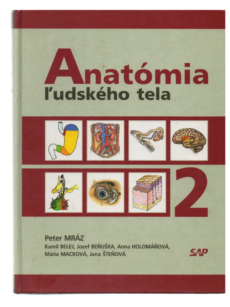 Anatómia 2 Mráz Pdf