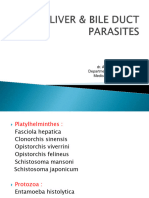 Liver & Bile Duct Parasites
