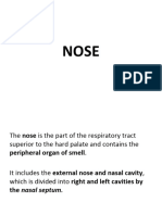 Respiratory System Part 1 PDF