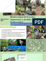 BIODIVERSIDAD