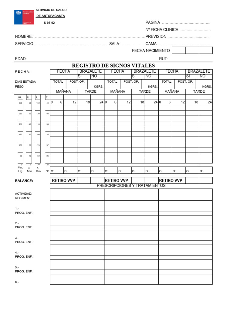 Signos Vitales Formato | PDF