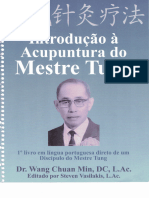 Intro Mestre Tung