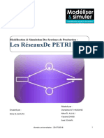 Rapport Réseau de Pétri