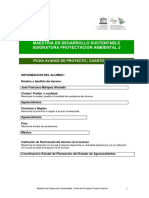 Ficha Proyectacion Ambiental 2 - 4° Avance JFCA