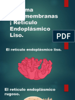 Sistema Endomembranas