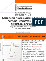 12 Mecanismo Neuromuscular